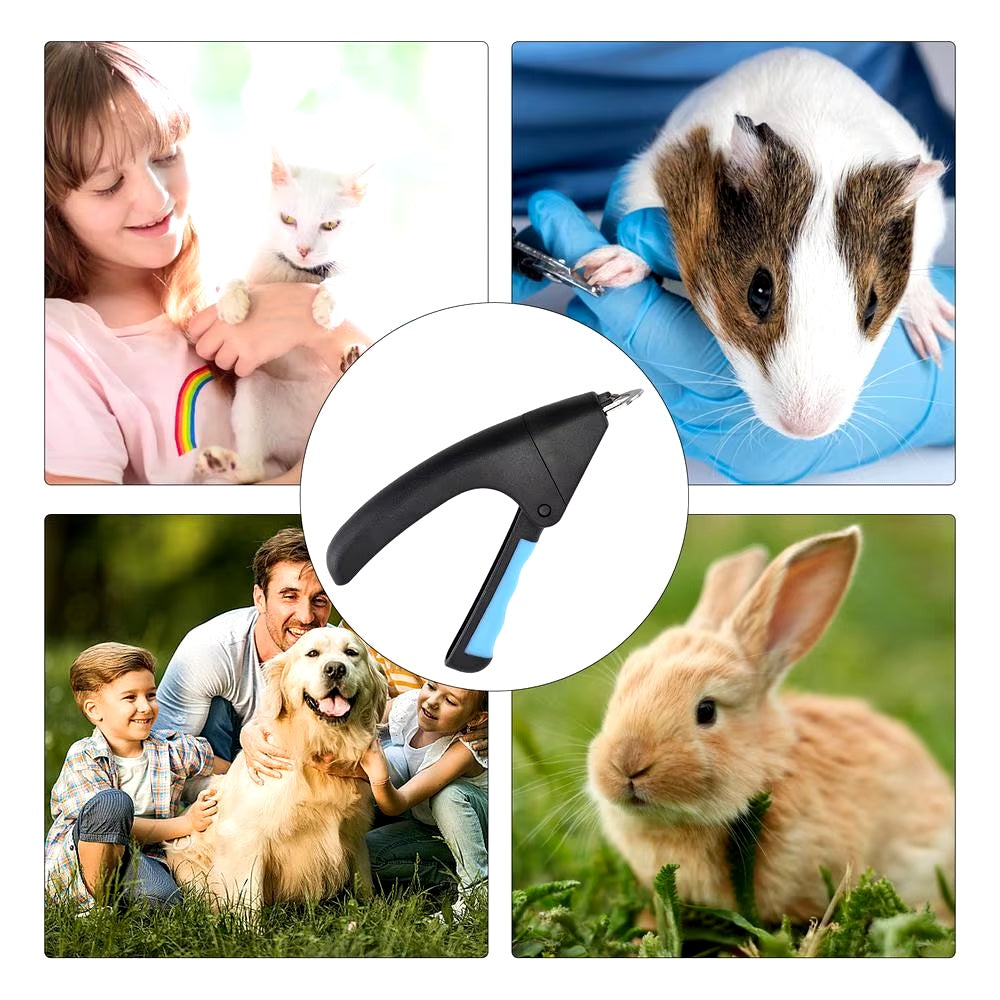 MASCOTA CORTA UÑAS MASCOTA CORTA UÑAS